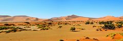 Dünen der Namib