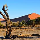 Dünen der Namib 