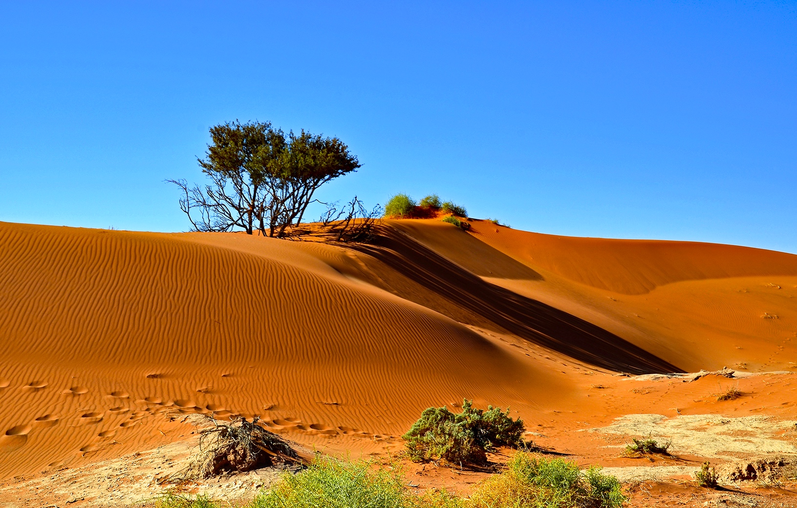 Dünen der Namib