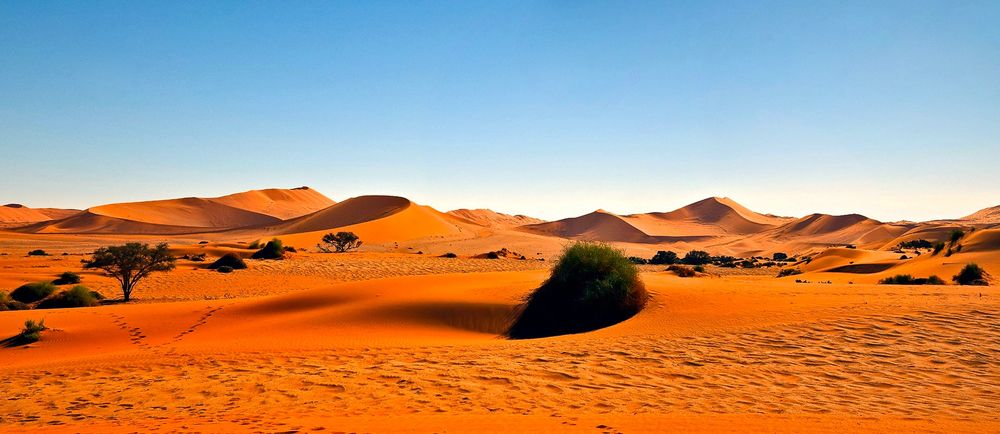 Dünen der Namib