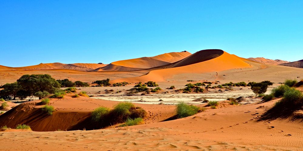 Dünen der Namib