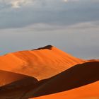 Dünen der Namib