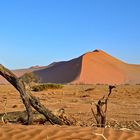 Dünen der Namib