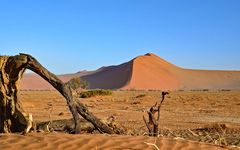 Dünen der Namib