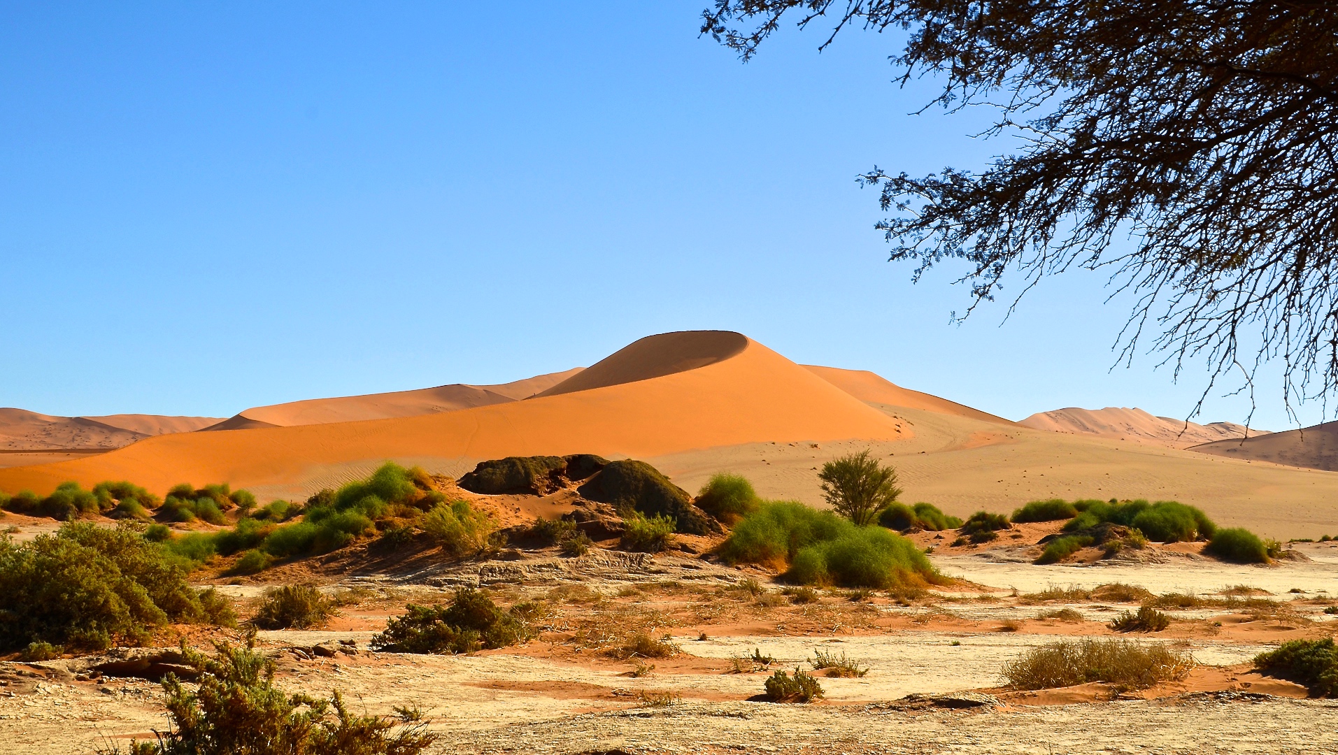 Dünen der Namib
