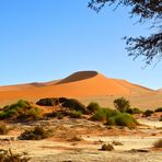 Dünen der Namib