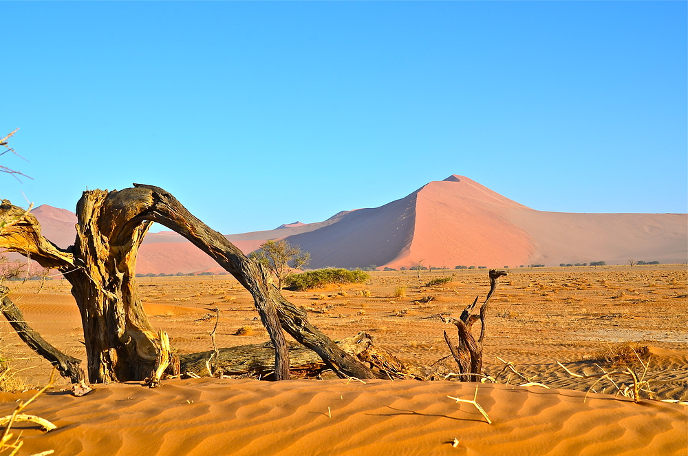 Dünen der Namib