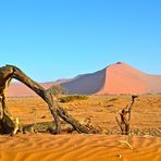 Dünen der Namib