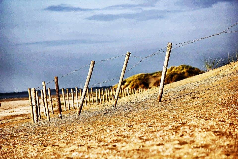 dünen der nordsee