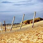 dünen der nordsee