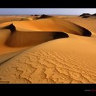 Dünen des Sandmeers