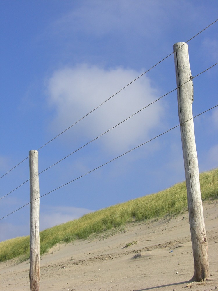 Dünen Egmont aan Zee