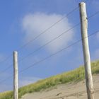 Dünen Egmont aan Zee