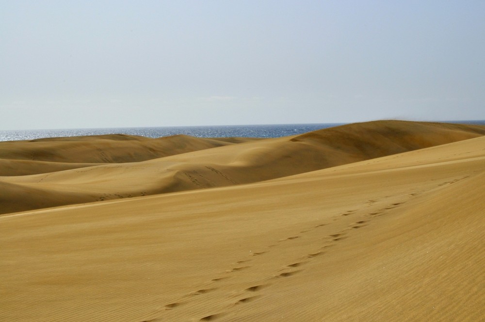 Dünen Gran Canaria