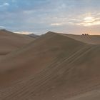 Dünen im Abendlicht