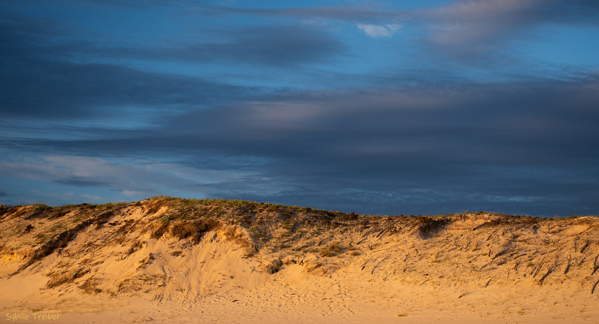 Dünen im Abendlicht