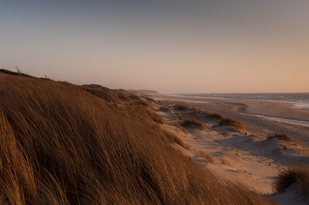 Dünen im Abendlicht