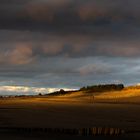 Dünen im Abendlicht