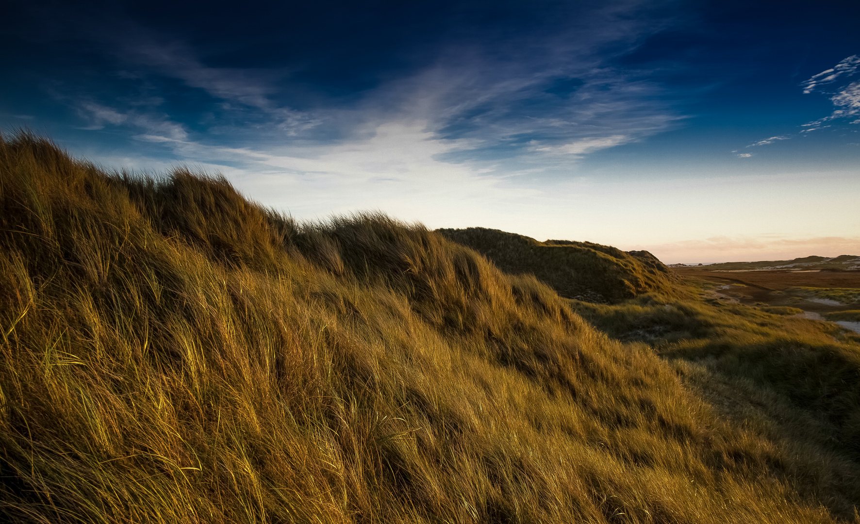 Dünen im Abendlicht  - Dunes in the evening light