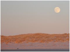 Dünen im Abendrot, Strand, eine Dohle und der Mond