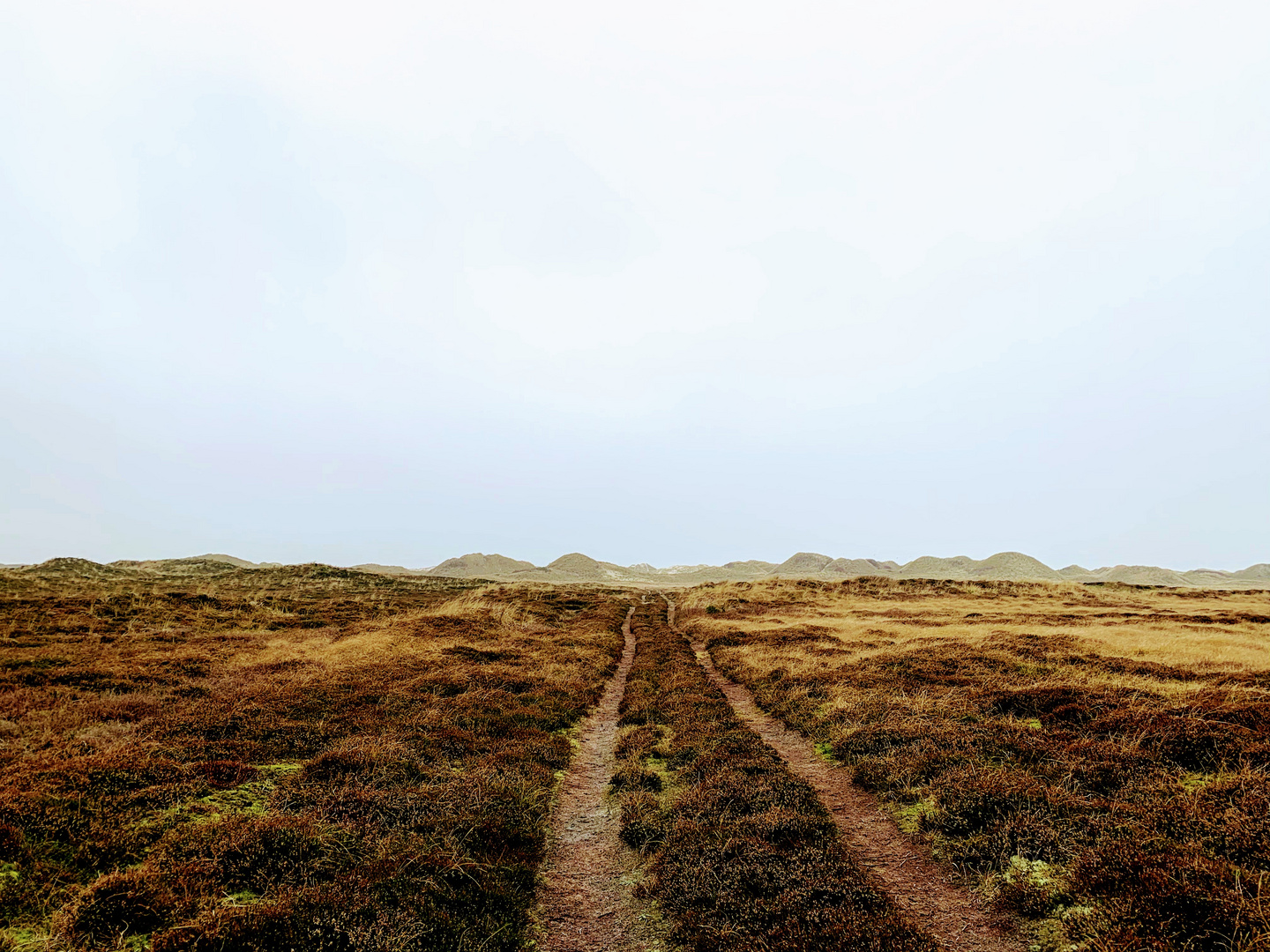 Dünen im Herbst