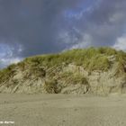 Dünen im Herbst