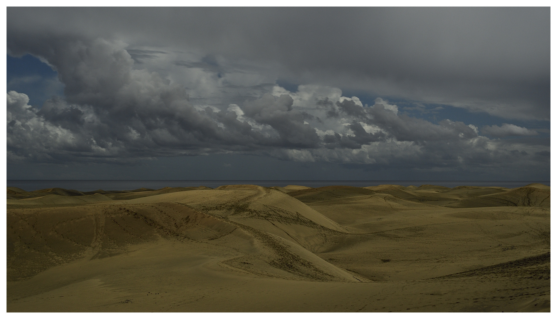 Dünen im Mondschein