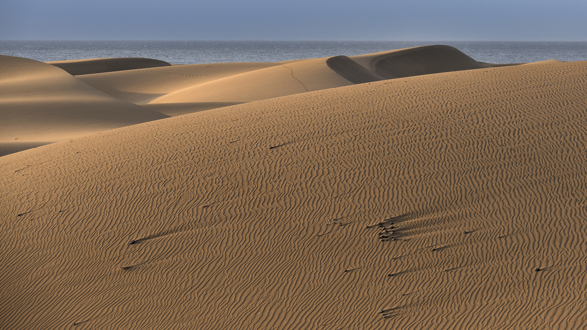 Dünen im Morgenlicht  auf Gran Canaria