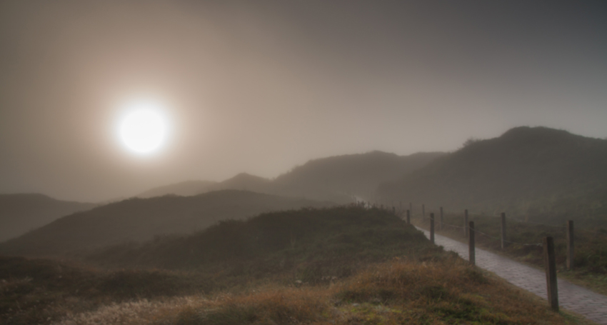 Dünen im Nebel