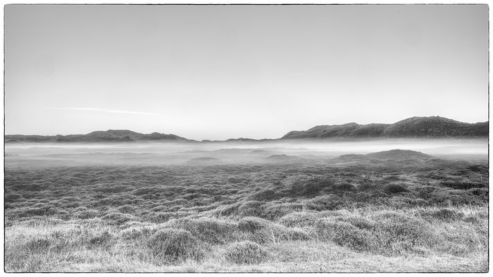 DÜNEN IM NEBEL