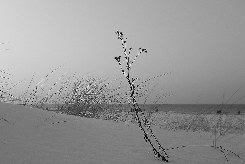 Dünen im Schnee