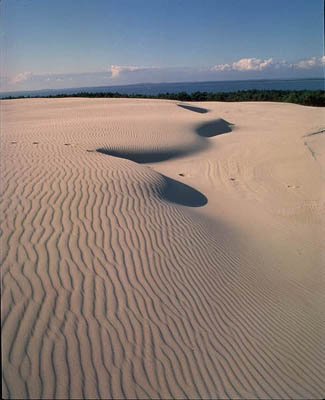 Dünen im Slowinski National Park