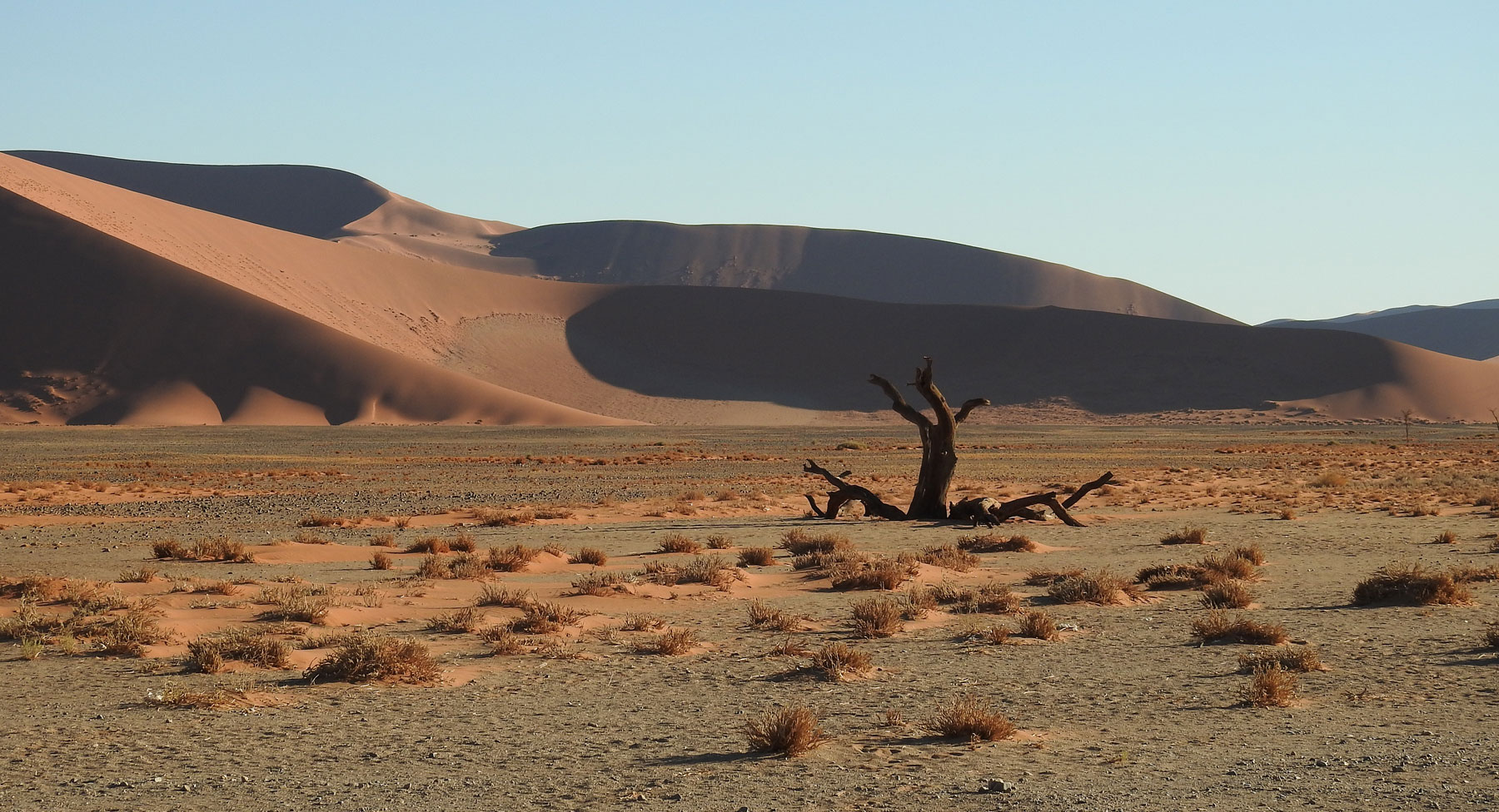 Dünen im Sossousvlei 