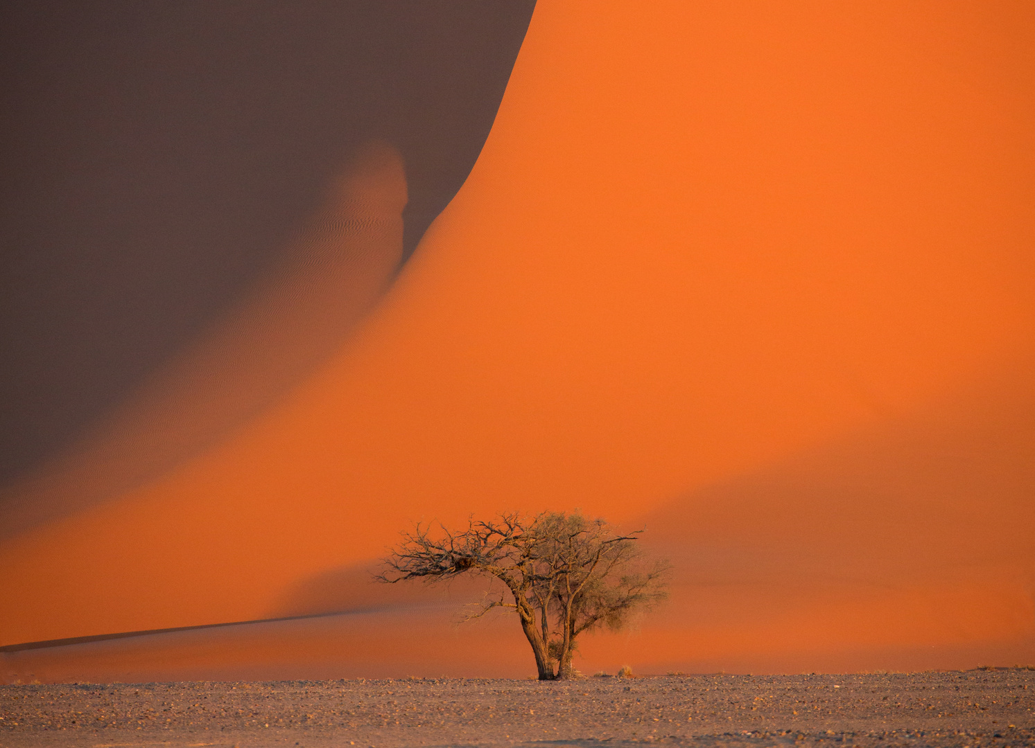 Dünen im Sossusvlei