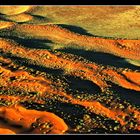 Dünen im Sossusvlei