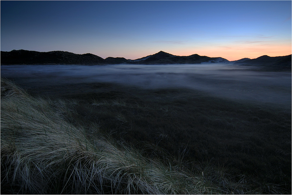 Dünen-Impressionen I