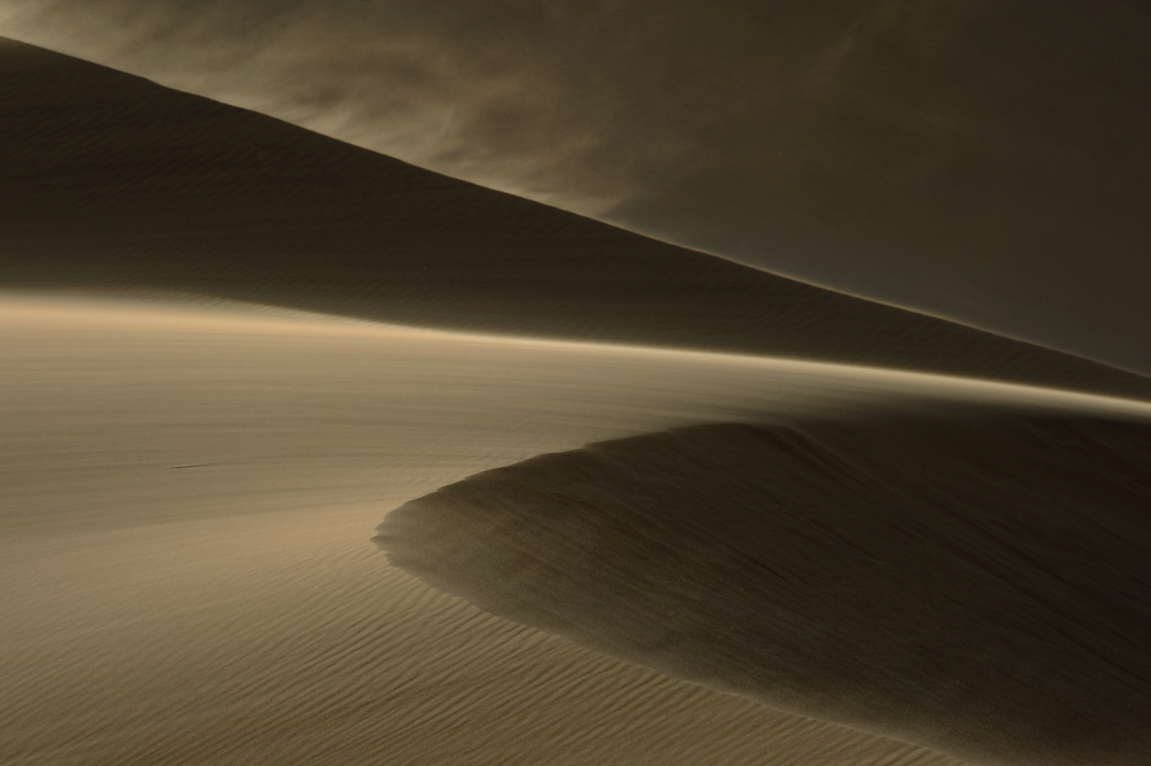 Duenen in Bewegung - Dunes on the move