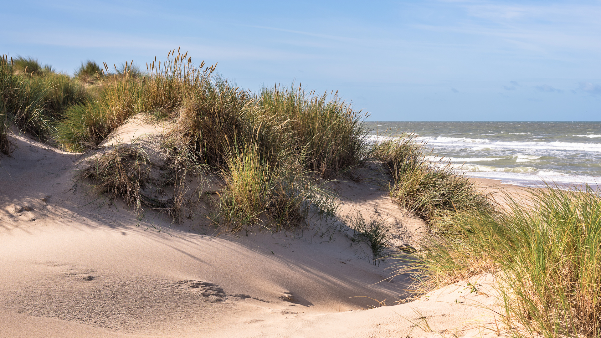 Dünen in De Haan 