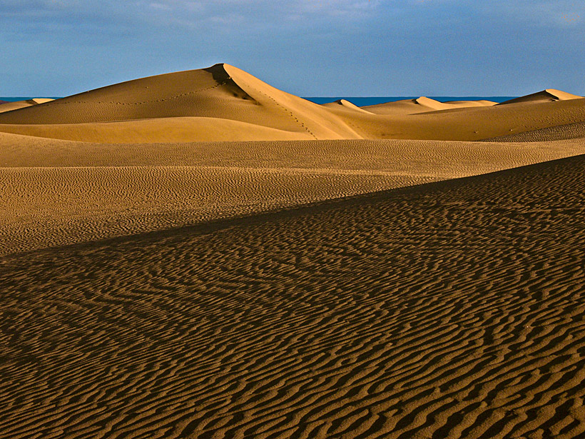 Dünen in der Abendsonne