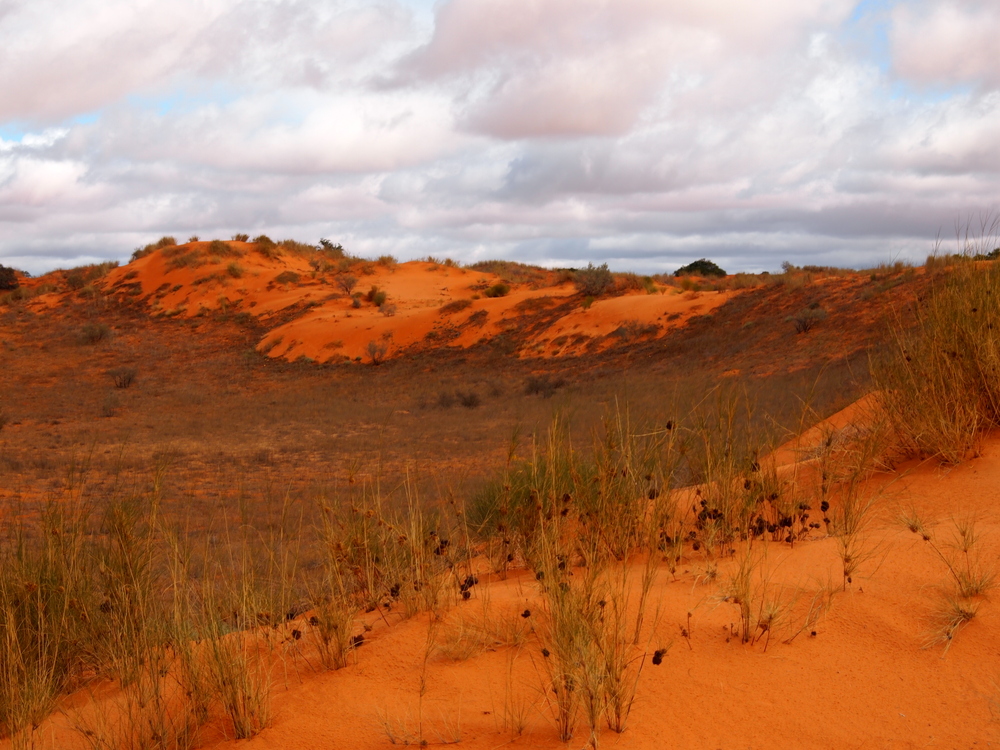 Dünen in der Kalahari