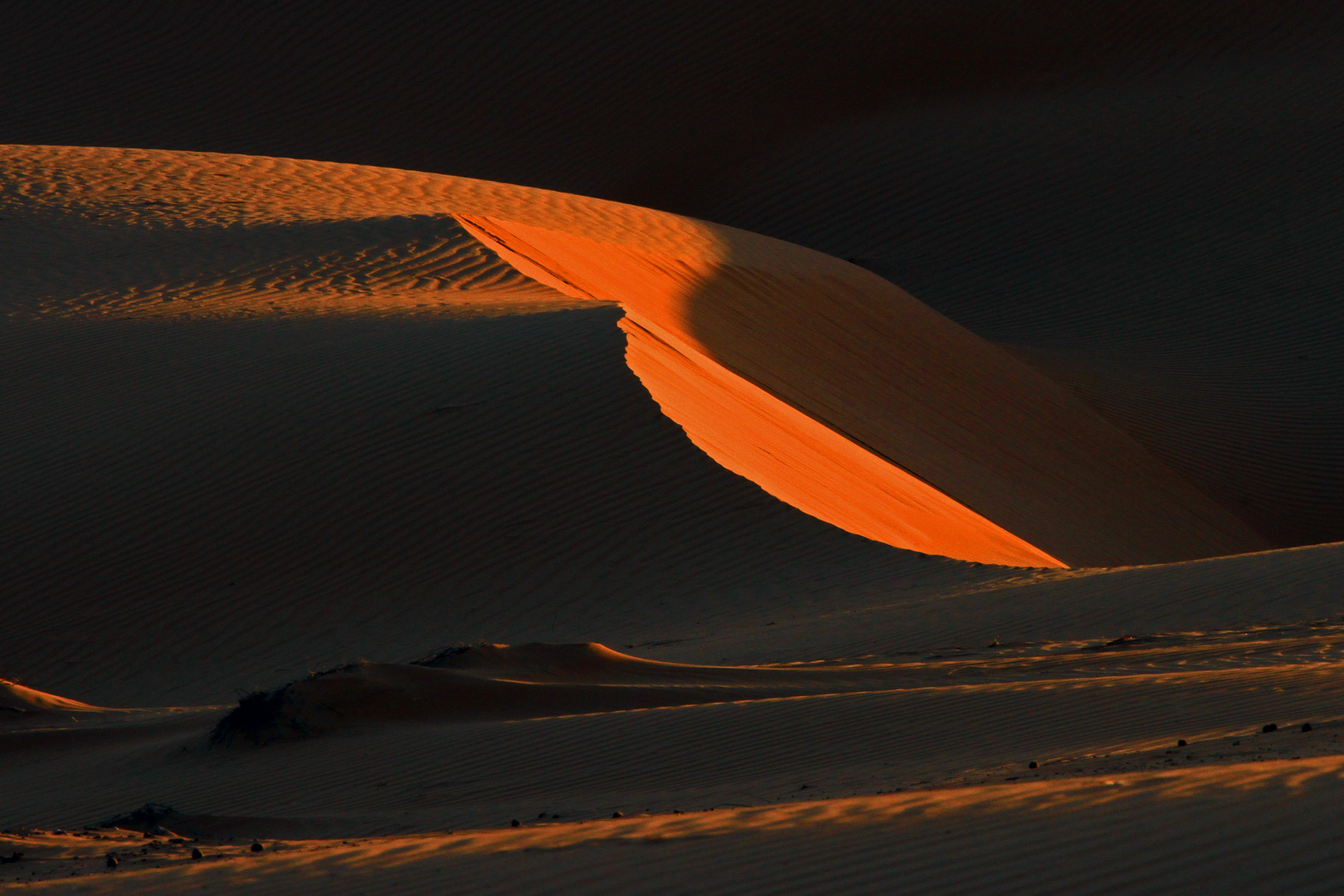 Dünen in der Wüste Wahiba Sands, Oman