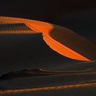 Dünen in der Wüste Wahiba Sands, Oman