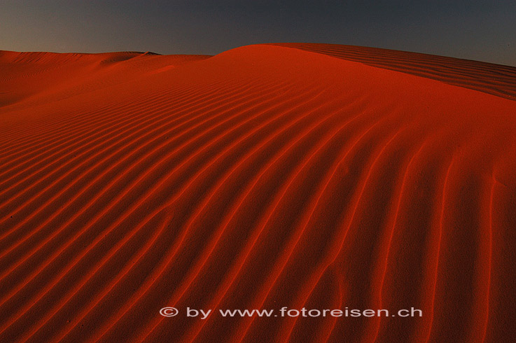 Dünen in der Zentral-Namib
