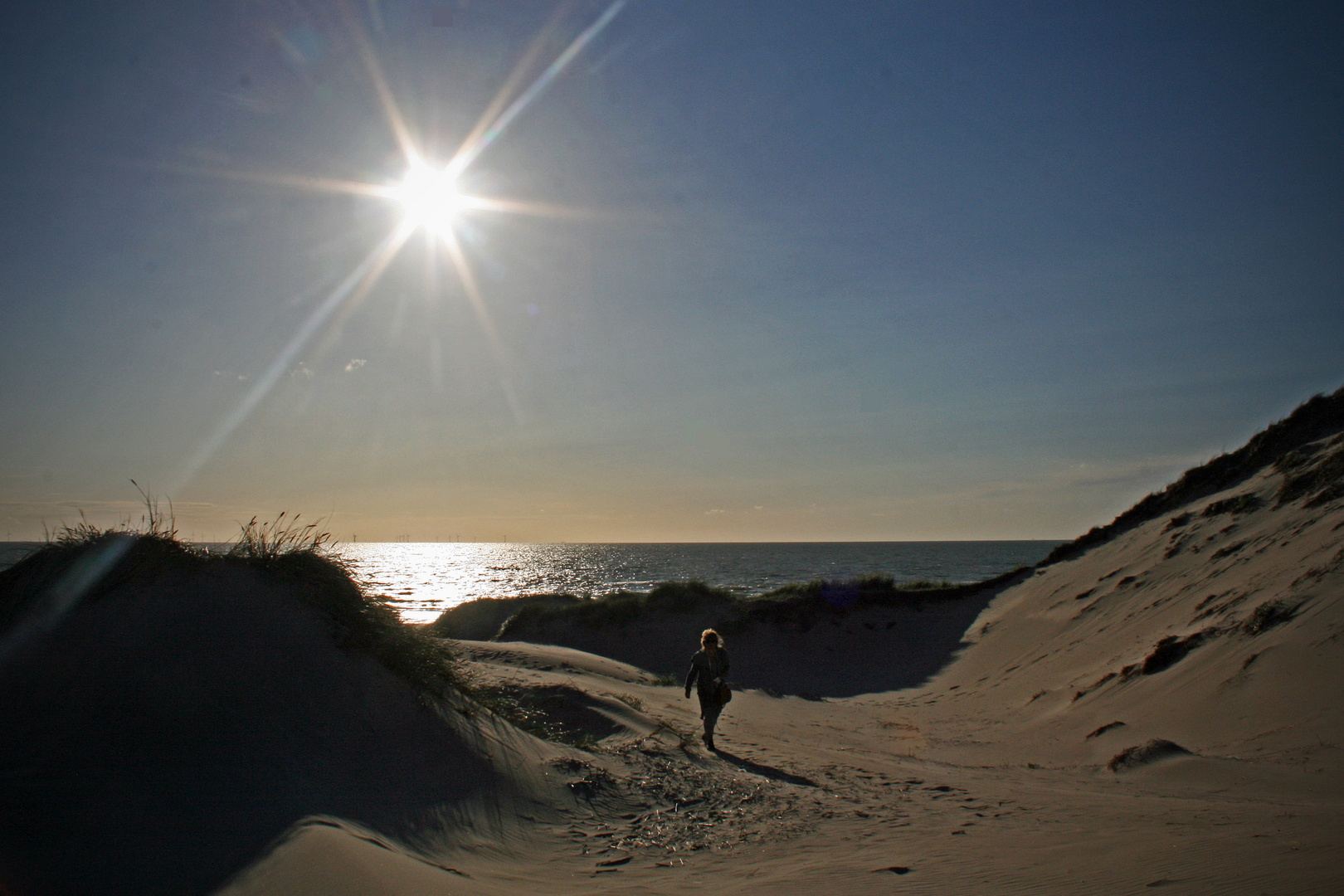 Dünen in Egmond aan Zee (Nord Holland)