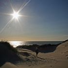 Dünen in Egmond aan Zee (Nord Holland)