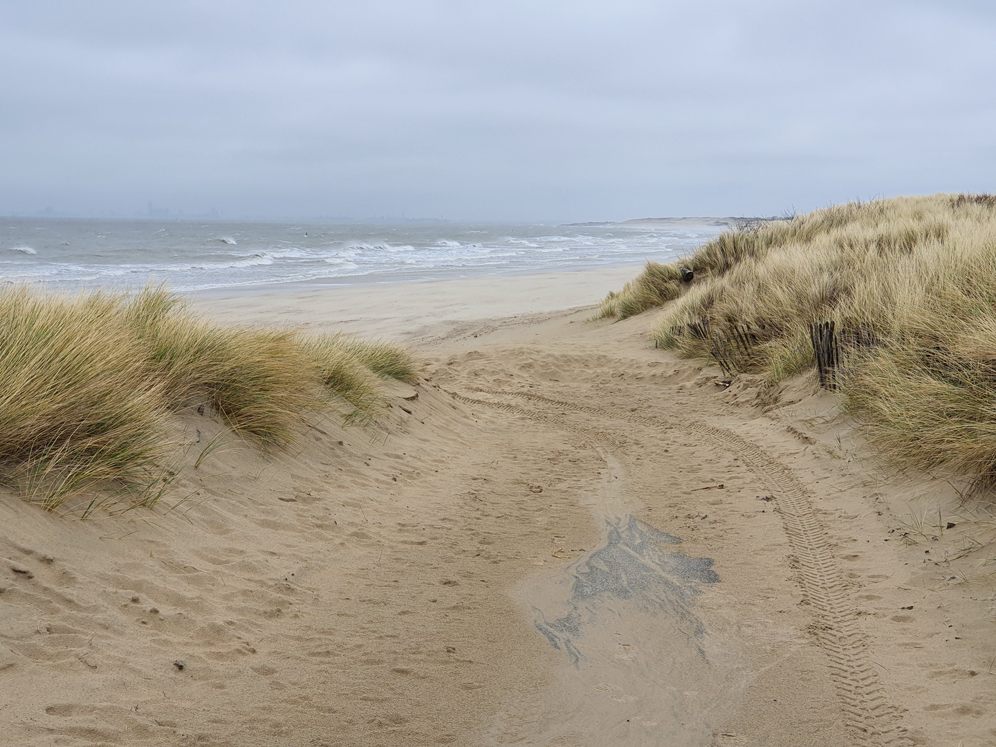 DÜNEN IN HOLLAND