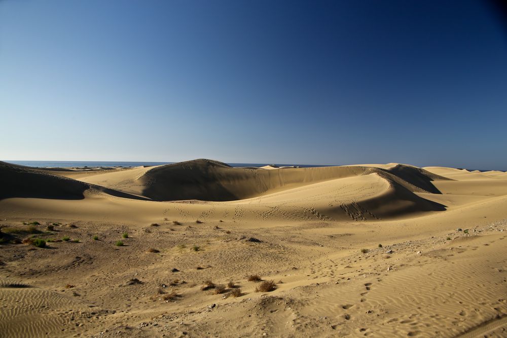 Dünen in Maspalomas