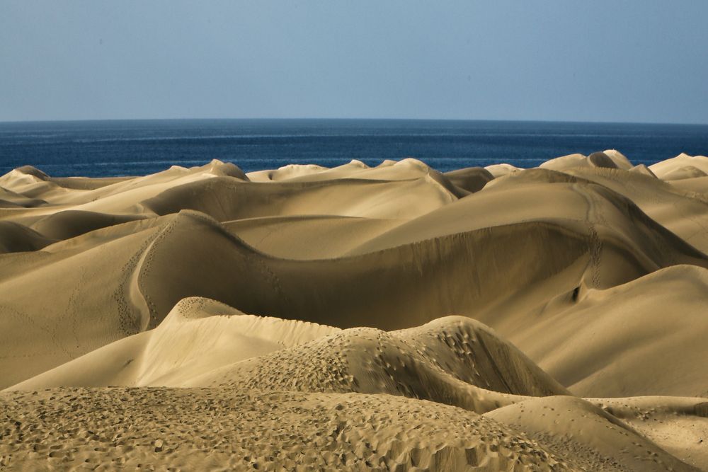 Dünen in Maspalomas III