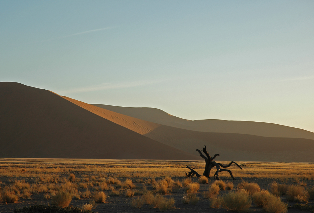 Dünen in Namibia