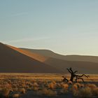 Dünen in Namibia